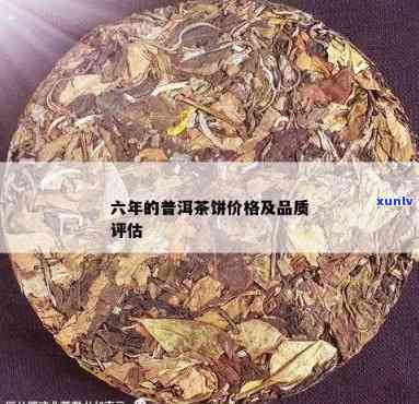 五级普洱茶批发价格与品质分析