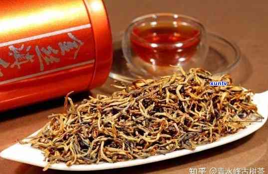 云南金丝滇红茶：独特口感与普洱茶特点的完美融合