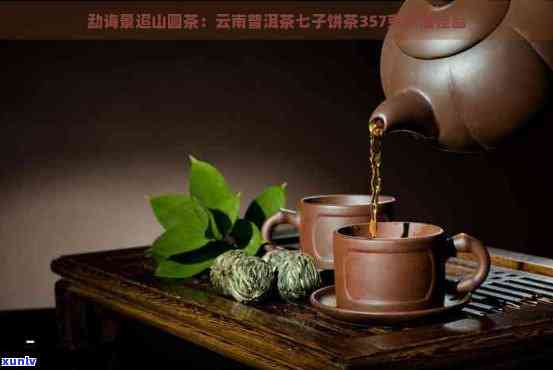 全面了解普洱茶功夫茶机：商用性能、品质、价格及使用 *** 