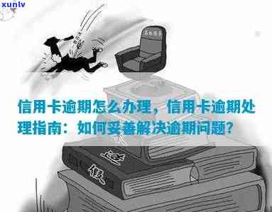 信用卡逾期处理涉及哪些部门？如何解决逾期问题并避免影响信用？