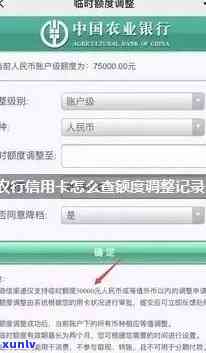 如何查询农行信用卡逾期记录及解决办法