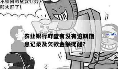 农业银行怎么查逾期贷款记录及明细信息