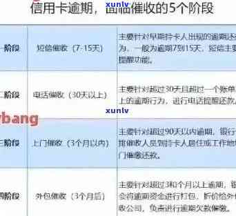 招商信用卡逾期10元：了解还款流程、罚息计算以及如何避免逾期的全面指南