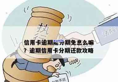 如何在逾期后实现信用卡无息还款？申请免息分期还款的 *** 与步骤