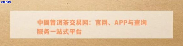 全面了解中期普洱茶交易平台：购买、收藏、鉴定与交流一站式解决方案