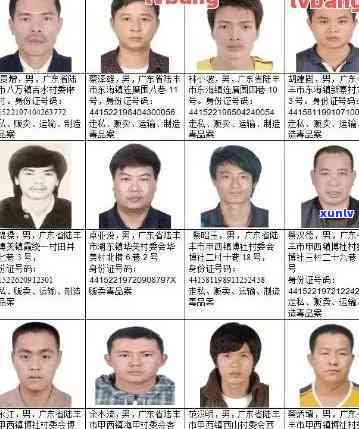 曝光：涉及信用卡欺诈行为的通缉犯名单