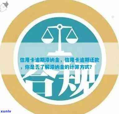 信用卡逾期后还款如何计算？本金、利息和滞纳金都会被计算吗？