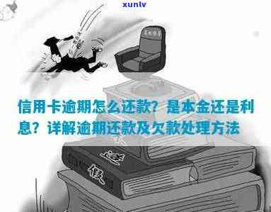 信用卡逾期还款后：如何扣款？是否先扣本金？还款顺序是什么？