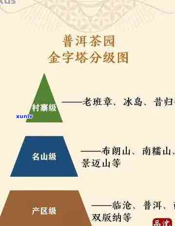 全面了解小微普洱茶：从产地、工艺到口感，解答您的所有疑问