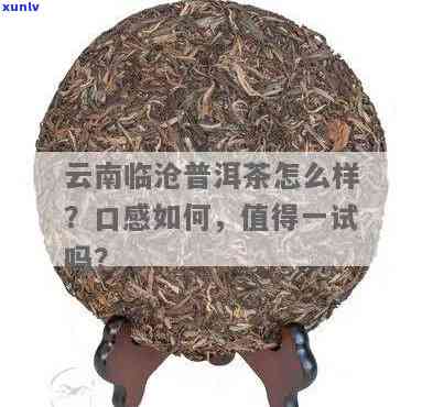 普洱茶口感怎么样?