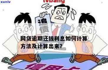 全面了解信用卡网贷逾期利息与违约金计算 *** ，解决用户搜索相关问题