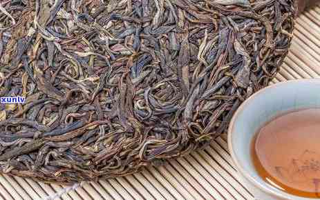 普洱茶属于哪种茶类？： 探讨普洱茶的茶类分类与特点