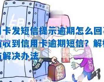 信用卡逾期后收到短信频率：解答、影响及应对措全面分析