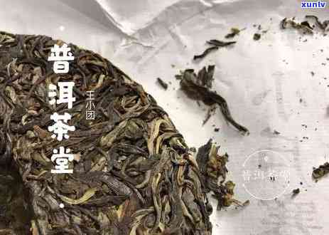 普洱茶发霉后长毛，是否仍可饮用？解答你的疑惑