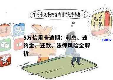 信用卡逾期分期还款：法律风险与解决方案全面解析