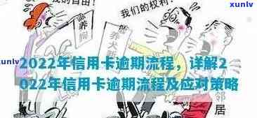 '2022年信用卡逾期流程：最新政策与解决办法'