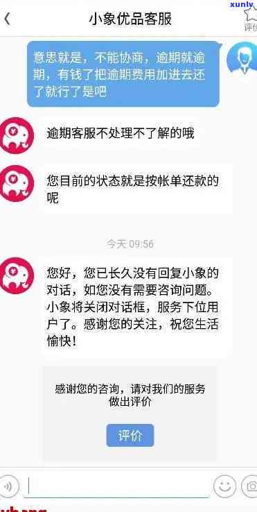 小象逾期两日：潜在影响与解决方案探讨