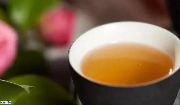 新普洱茶可以喝吗怎么喝：掌握正确 *** ，让新普洱茶更美味！