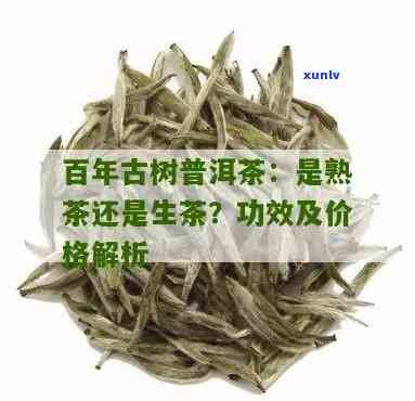 百年生普价格查询：了解百年普洱茶多少钱一斤及功效作用