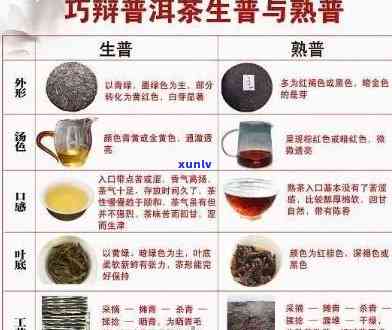 全方位解析：高端普洱茶排行及特点，助你轻松挑选优质茶品