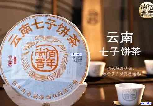 云南七子饼普洱茶全方位价格解析：从入门级到高端珍藏，一应俱全！