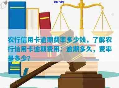 农行信用卡年费逾期利息及相关费用全面解析：逾期、计息方式等一网打尽