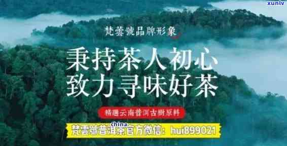 国内知名普洱茶招商加盟，共创茶叶行业新未来