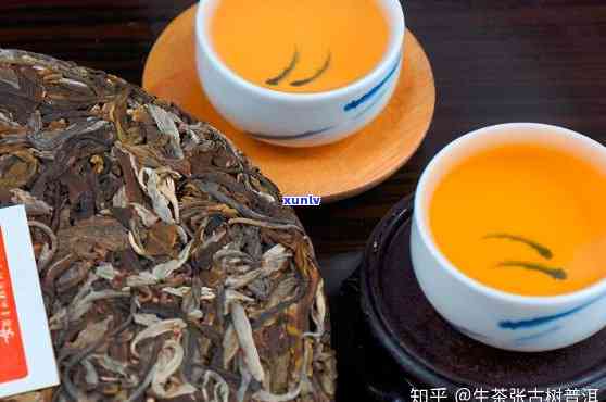 广东普洱茶：全方位指南，了解各类特色与选购技巧