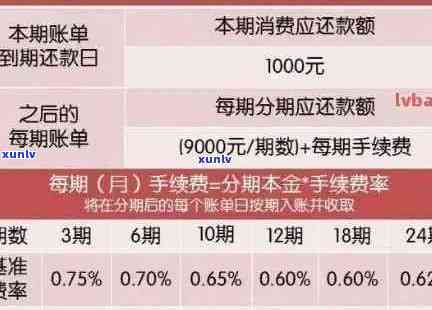 逾期信用卡还款策略：如何避免和罚息