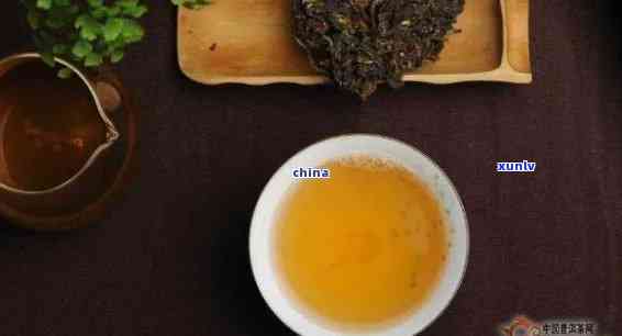 和普洱茶一起泡吗