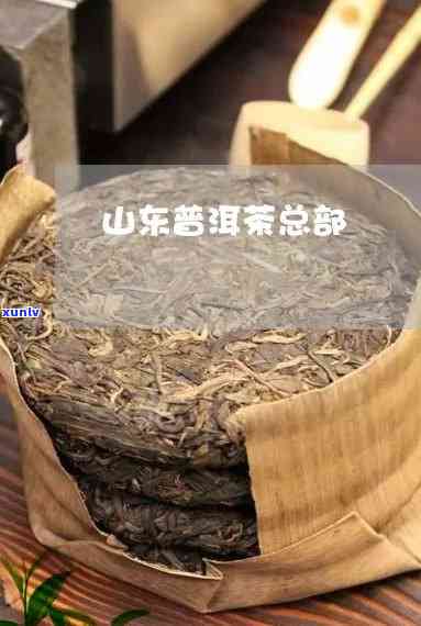 山东靠谱普洱茶招商