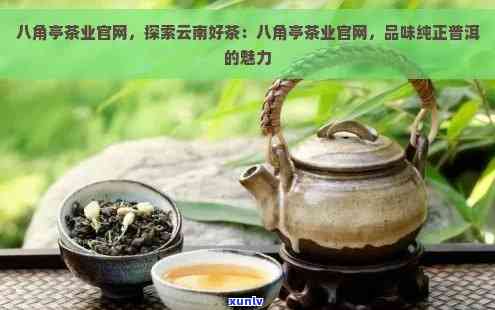 云南知名八角亭茶业：以普洱茶为主，融合多元茶品的全方位解读