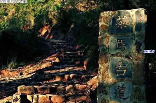 探索神秘的茶马古道：普洱之旅的极指南