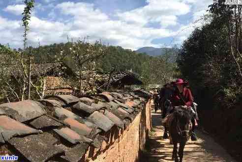 普洱茶叶厂家-普洱茶叶厂家排名