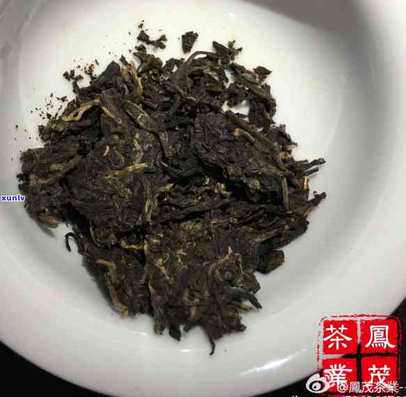 云南普洱茶八角亭的创立者：一位不为人知的茶业英雄