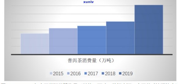 易武普洱茶六大特点口感详解：品鉴与鉴的科学之道