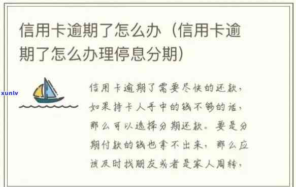 信用卡逾期等级划分解析：从次级到顶级，一次了解透彻