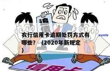 2020年农行信用卡逾期还款新规定：解读信用影响及应对策略