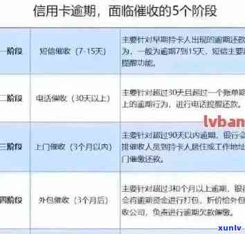 信用卡逾期处理指南：收到告知函后的应对策略