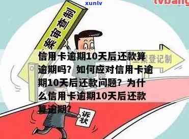 信用卡逾期不换会怎样处罚：后果与应对策略