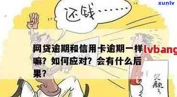 贷款逾期与信用卡逾期：有何区别？如何避免逾期问题？