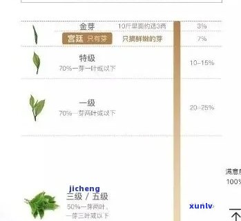 普洱茶之一梯队：排名领先，品质无可争议