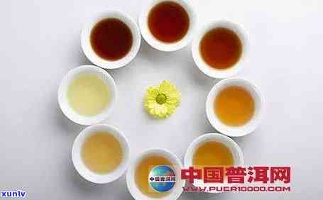 普洱茶的添加物：探索普洱茶中可加入的不同颜色配料及其作用