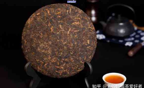 熟普洱茶是黑茶吗?