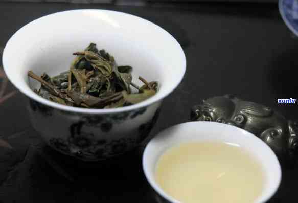 青毛茶和普洱茶区别-青毛茶和普洱茶区别在哪