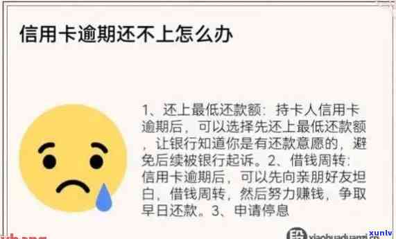 没逾期信用卡被拒