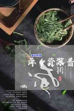 萍乡精选普洱茶招商：品质茶叶加盟，轻松致富