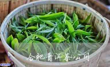 合肥普洱茶加盟商家