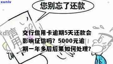 新信用卡5000逾期两年未还款，如何解决？