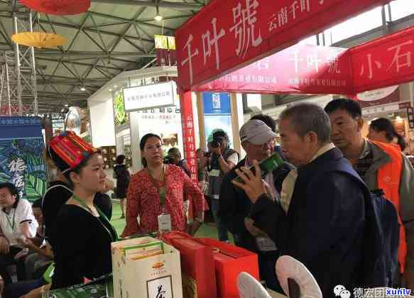 江普洱茶招商